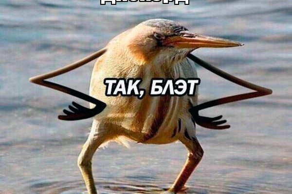 Кракен работает