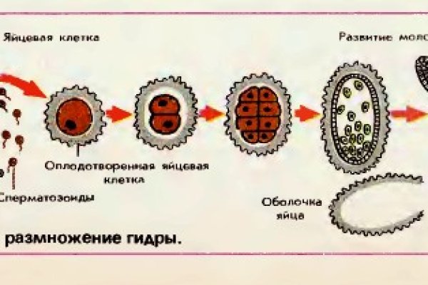 Кракен вход магазин