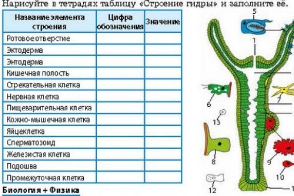 Маркетплейс кракен купить