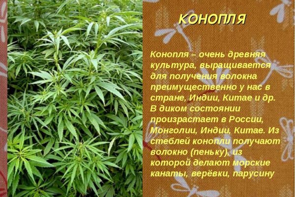Кракен зеркало krakenat2krnkrnk com