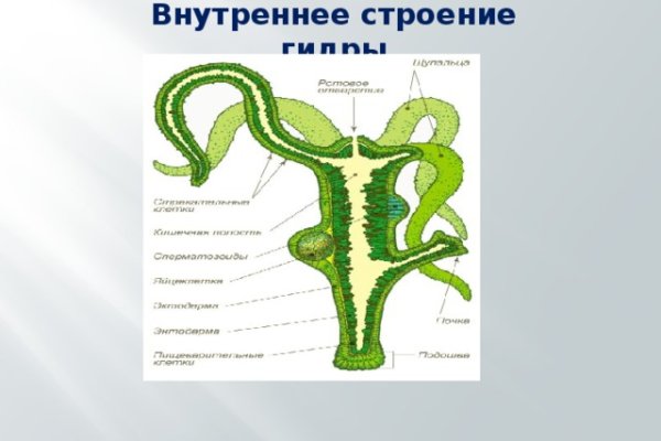 Кракен зайти