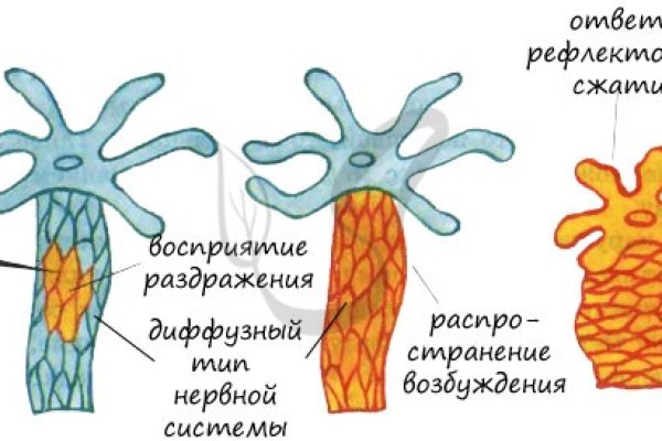 Кракен браузер
