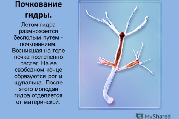 Кракен маркетплейс ссылка телеграмм