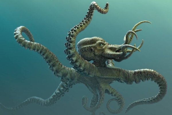 Kraken ссылки актуальные 2025 г