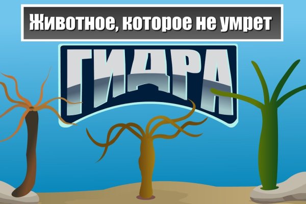 Кракен тор krakendark krakendark link